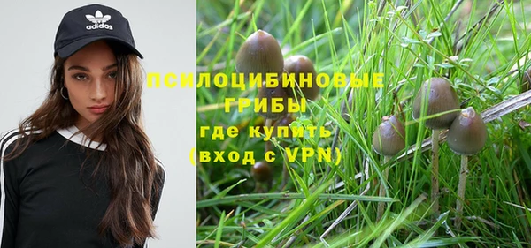 винт Мегион