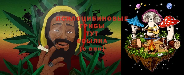 прущие крисы Тобольск