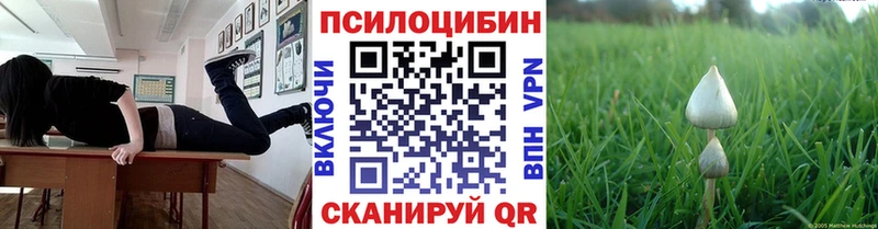 дарнет шоп  kraken зеркало  Псилоцибиновые грибы мицелий  Урай 