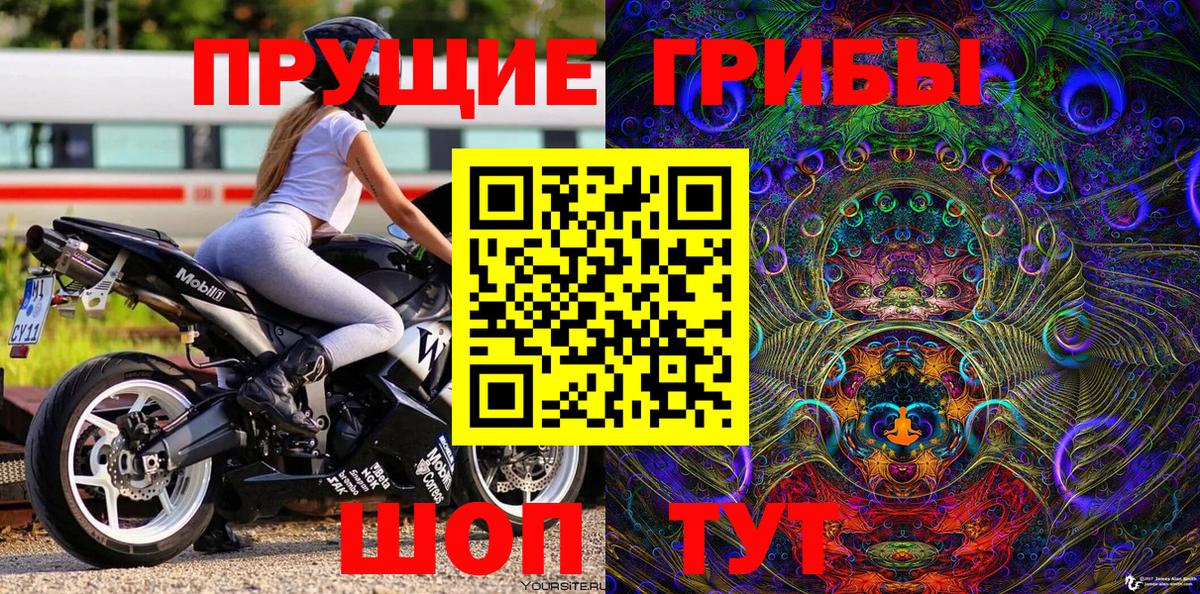 Галлюциногенные грибы Cubensis Урай